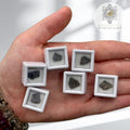 Iolite Mini Specimen (Viking’s Compass) – Intuitively Chosen