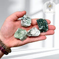 Tree Agate (Raw) – Grounding & Growth Stone