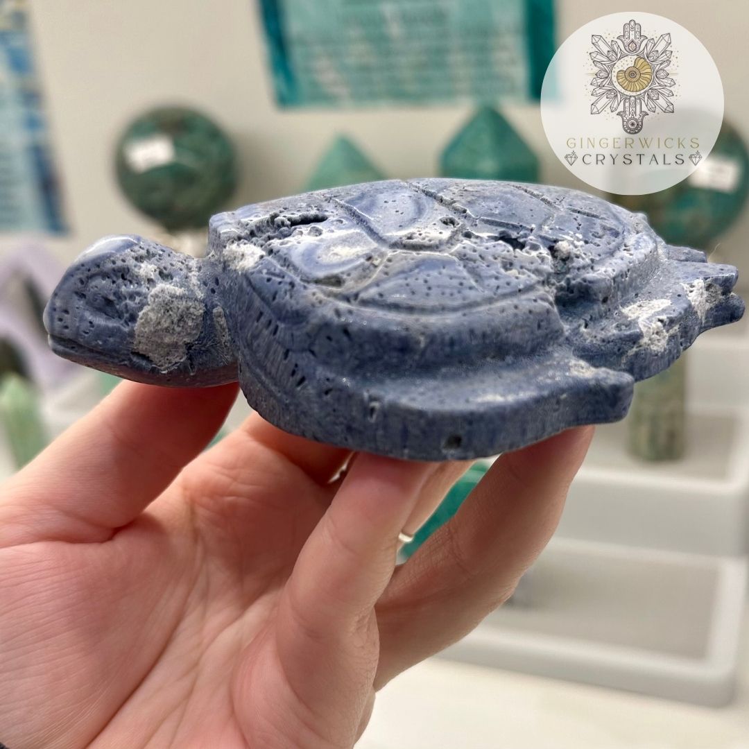 Blue Coral Turtle Carving