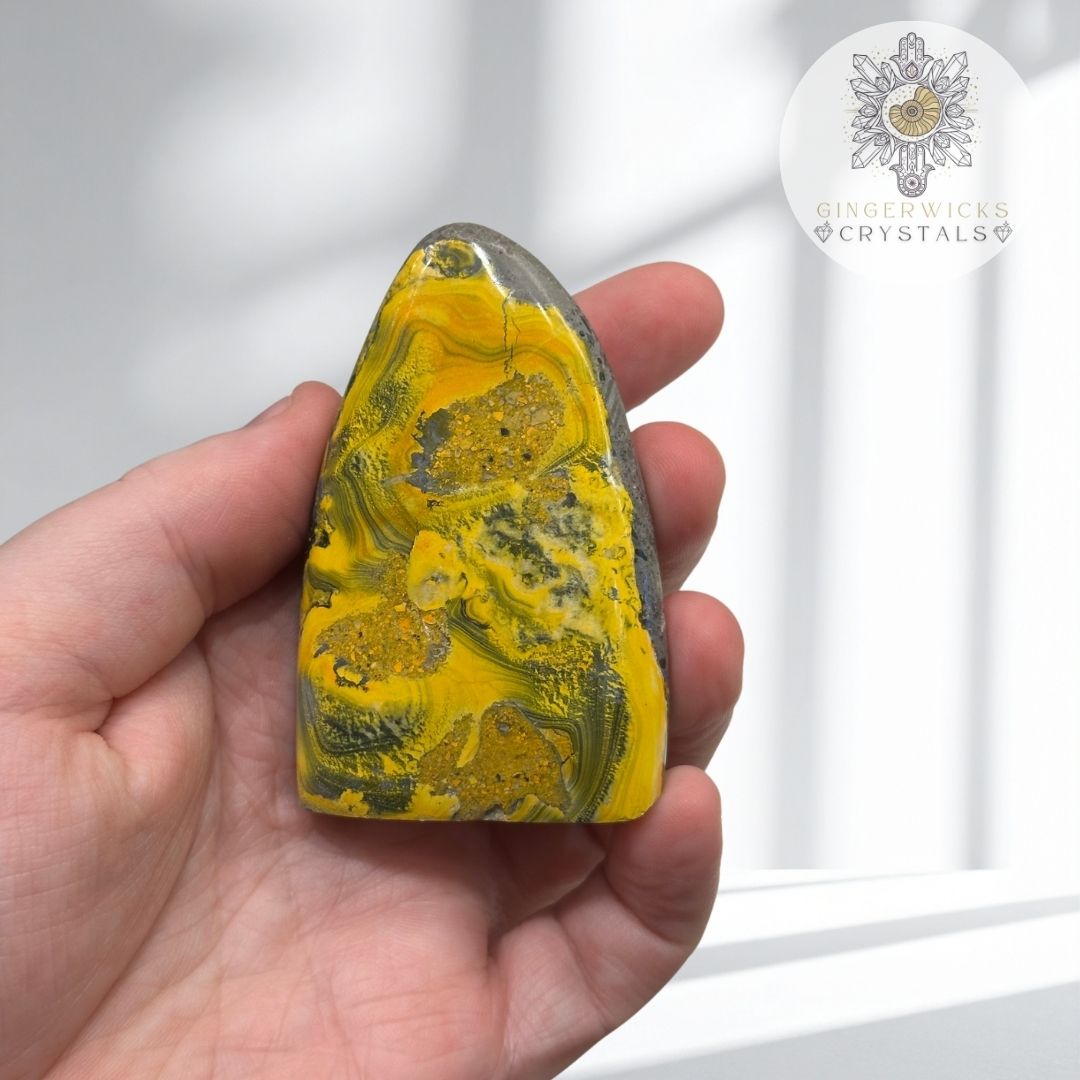 Bumblebee Jasper Freeform