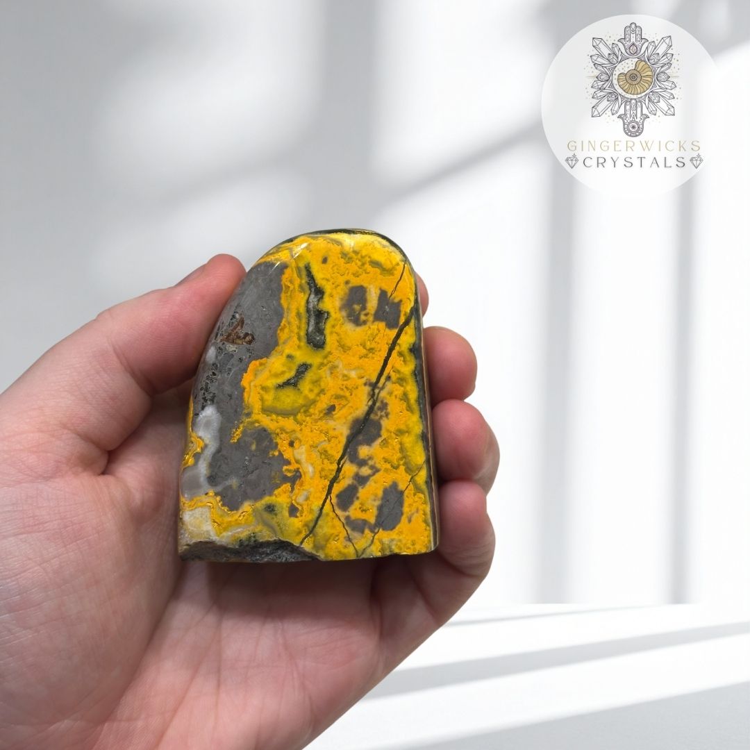 Bumblebee Jasper Freeform
