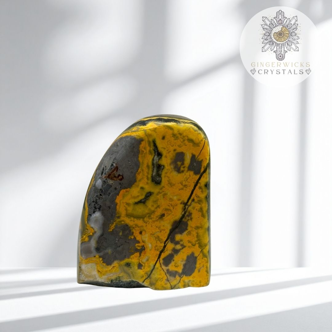 Bumblebee Jasper Freeform
