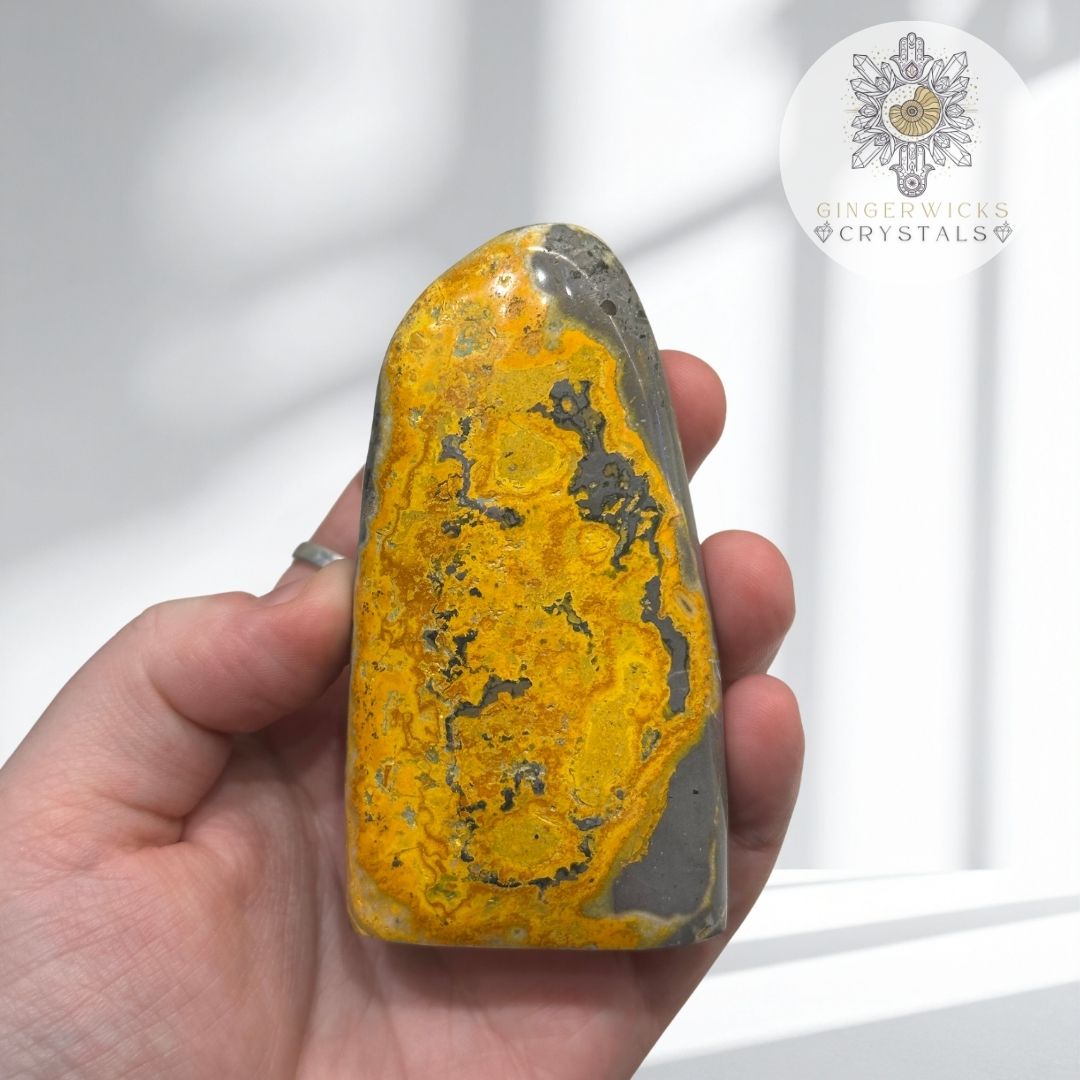 Bumblebee Jasper Freeform