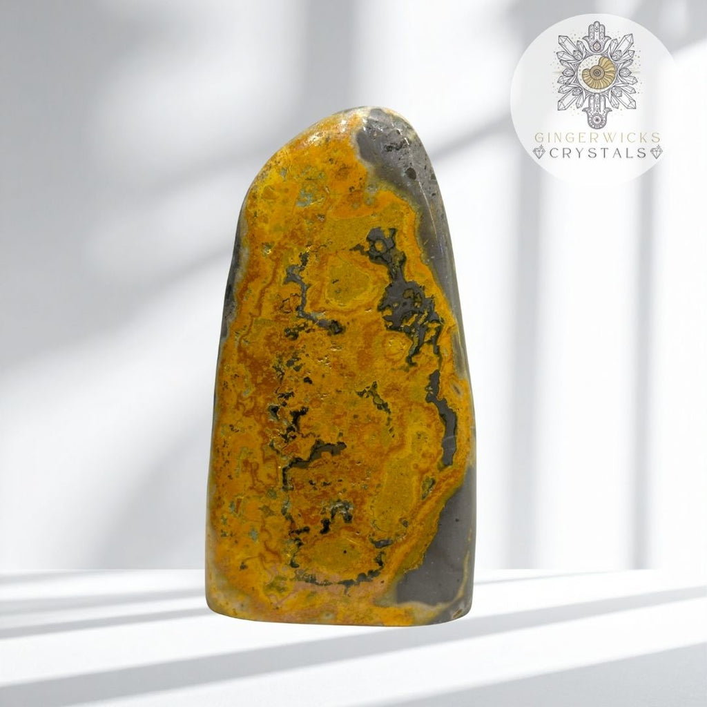 Bumblebee Jasper Freeform
