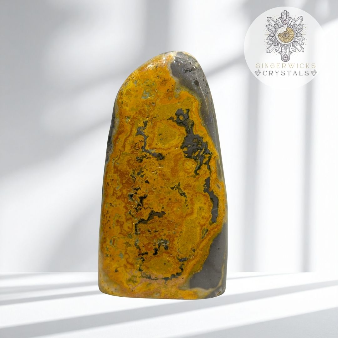 Bumblebee Jasper Freeform