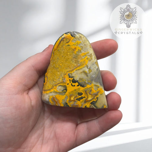 Bumblebee Jasper Freeform