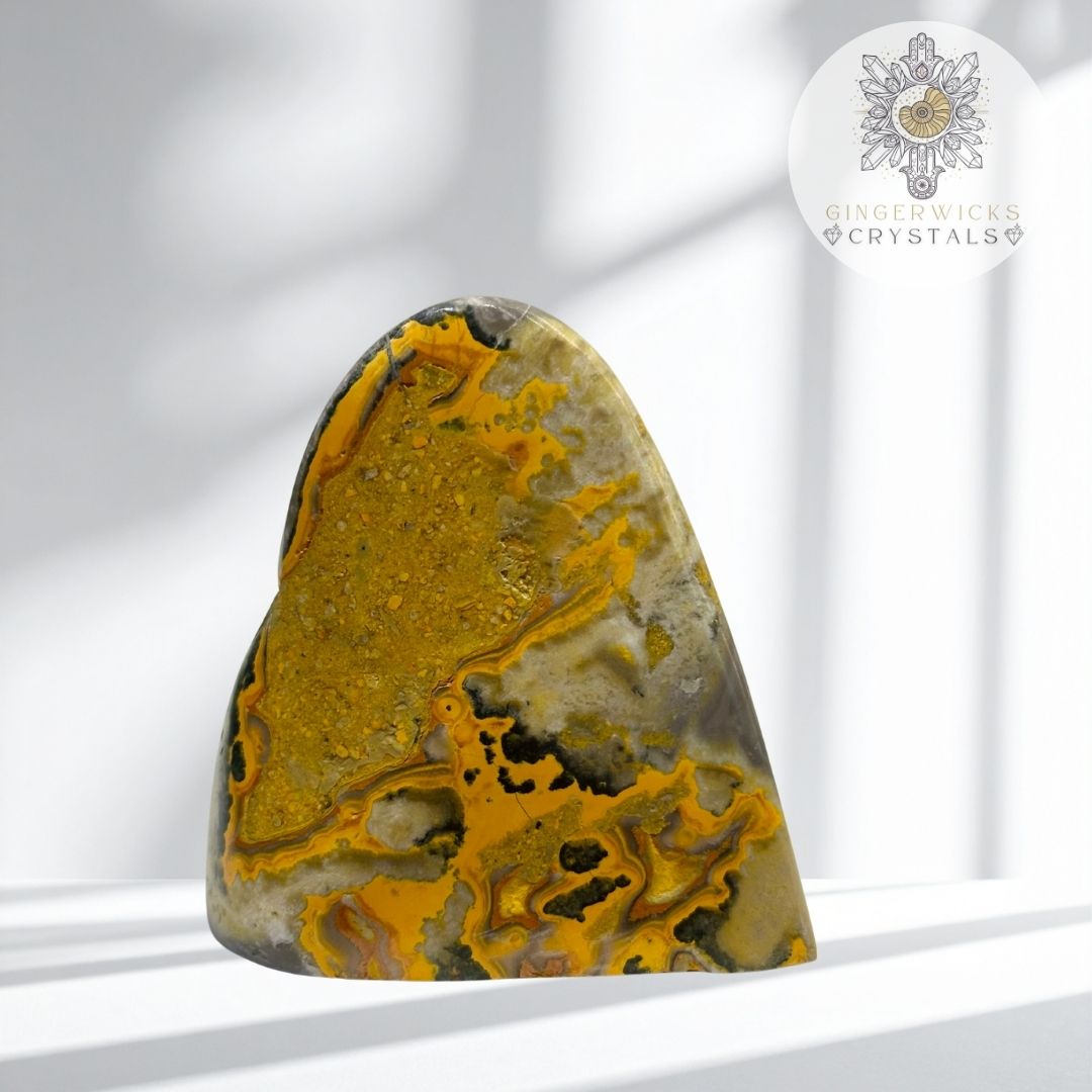 Bumblebee Jasper Freeform