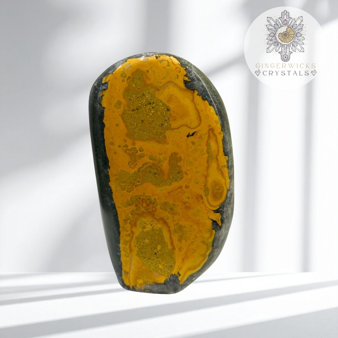 Bumblebee Jasper Freeform