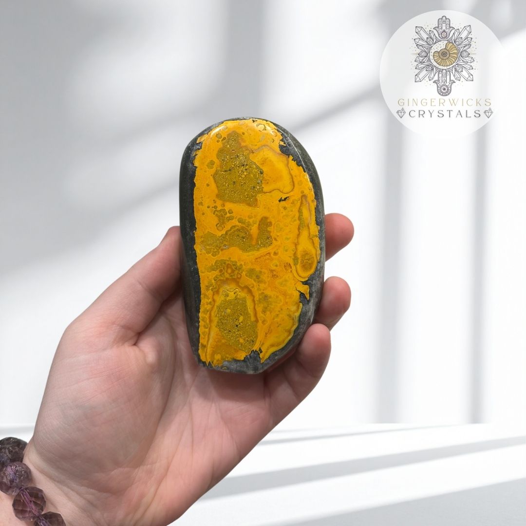 Bumblebee Jasper Freeform