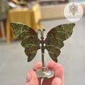 Dragon Blood Jasper Crystal Butterfly on Stand