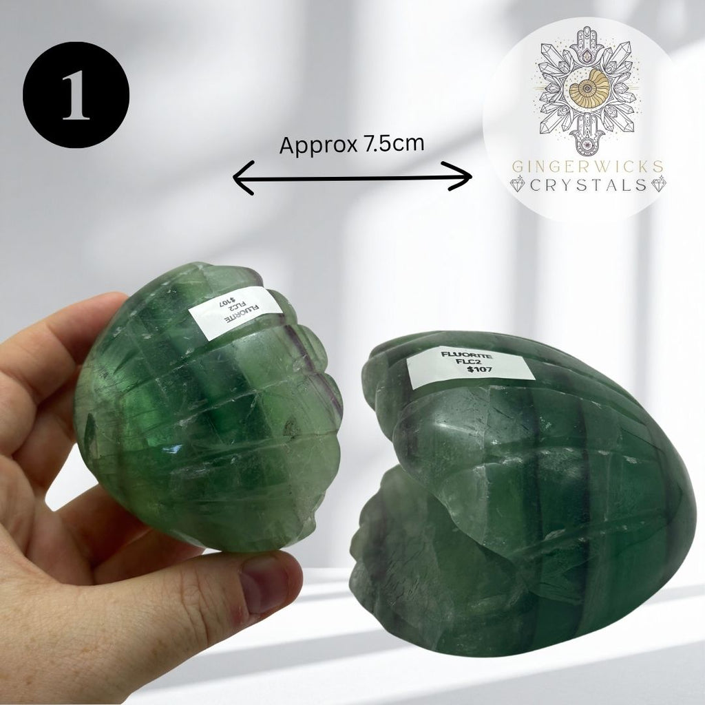 Fluorite Clam Shell Carvings – Choose Your Piece