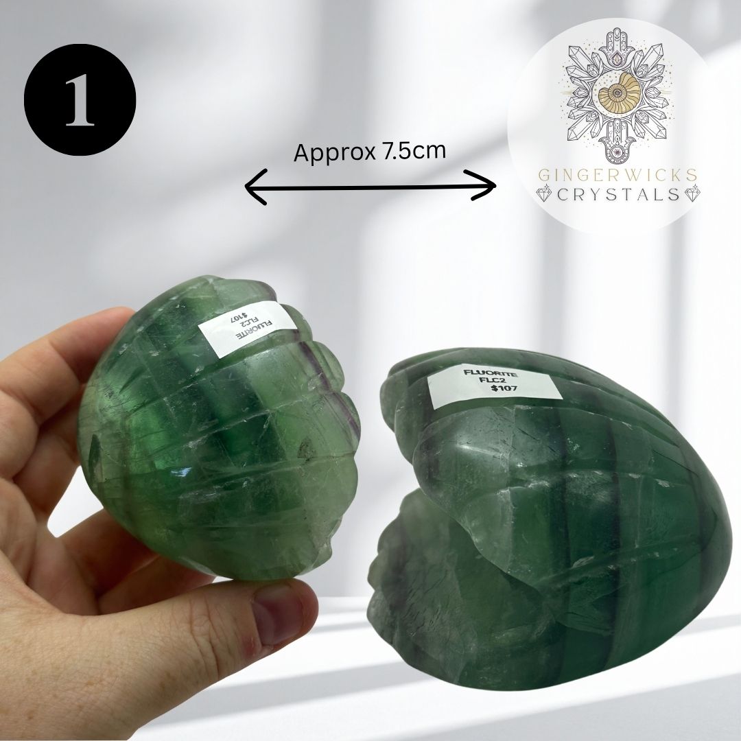Fluorite Clam Shell Carvings – Choose Your Piece