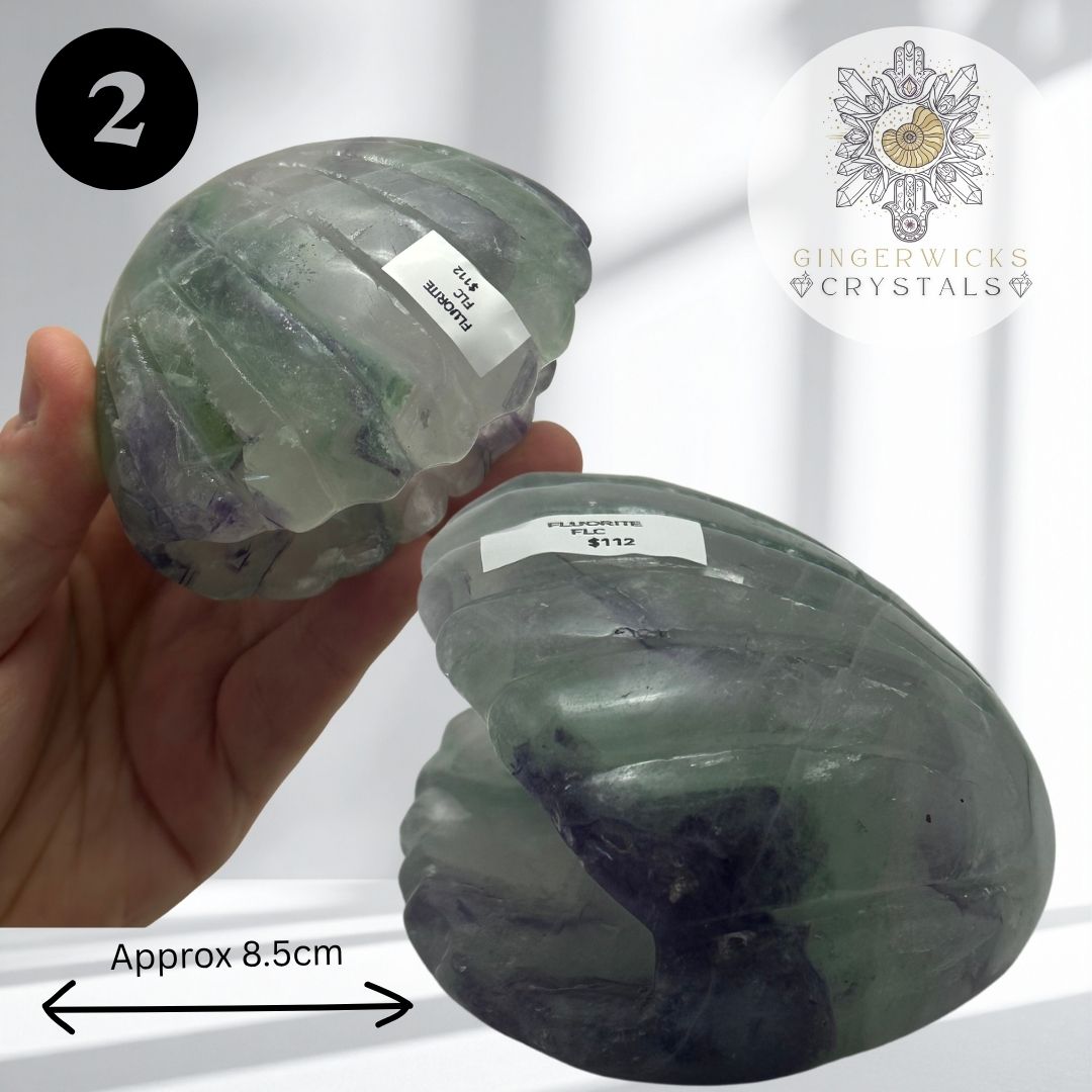 Fluorite Clam Shell Carvings – Choose Your Piece