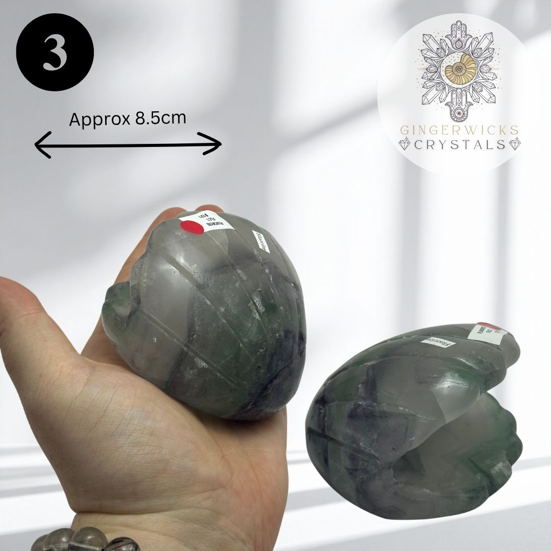 Fluorite Clam Shell Carvings – Choose Your Piece