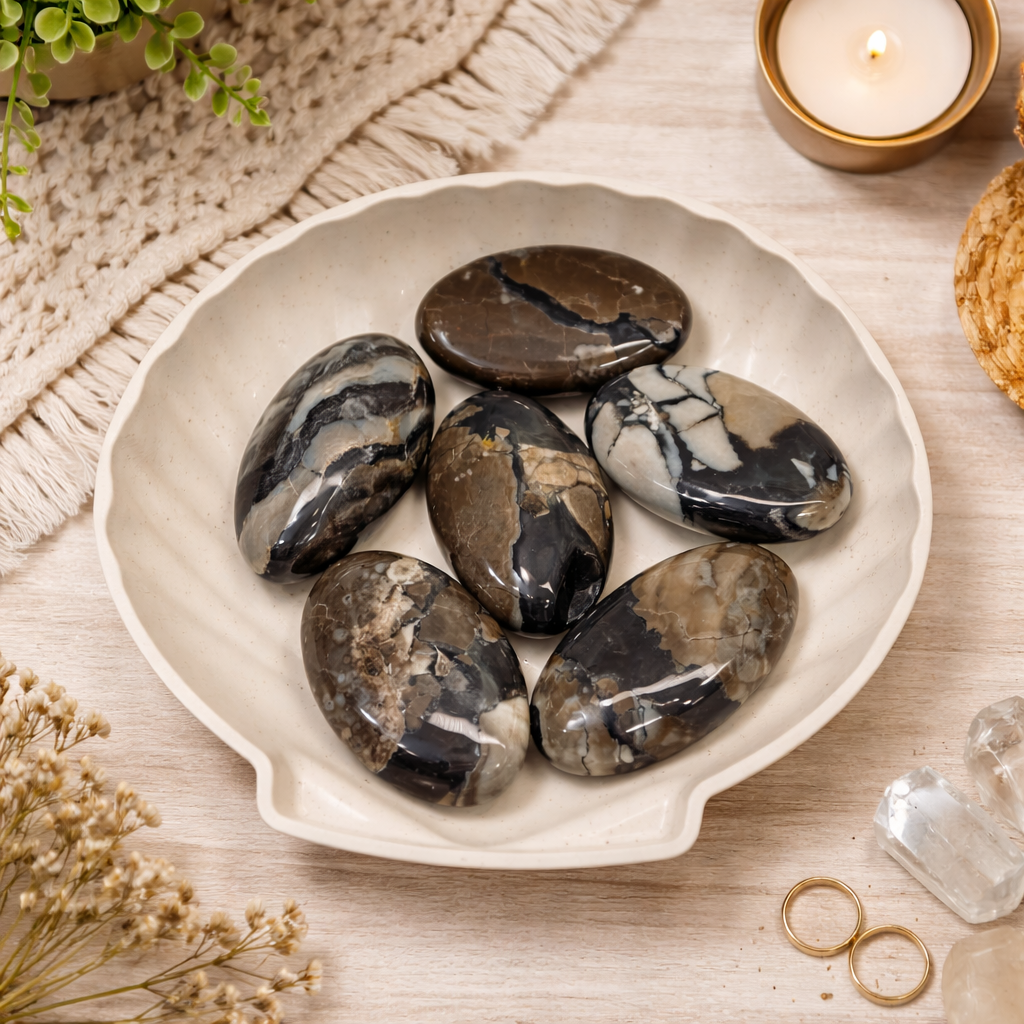 Volcano Agate Palm Stones $16 Each or 2 for $30