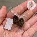Tabasco Geode Pair